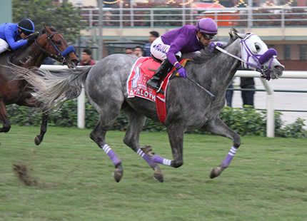 Foto: Julio Villanueva - Renzo Ramos F.D.