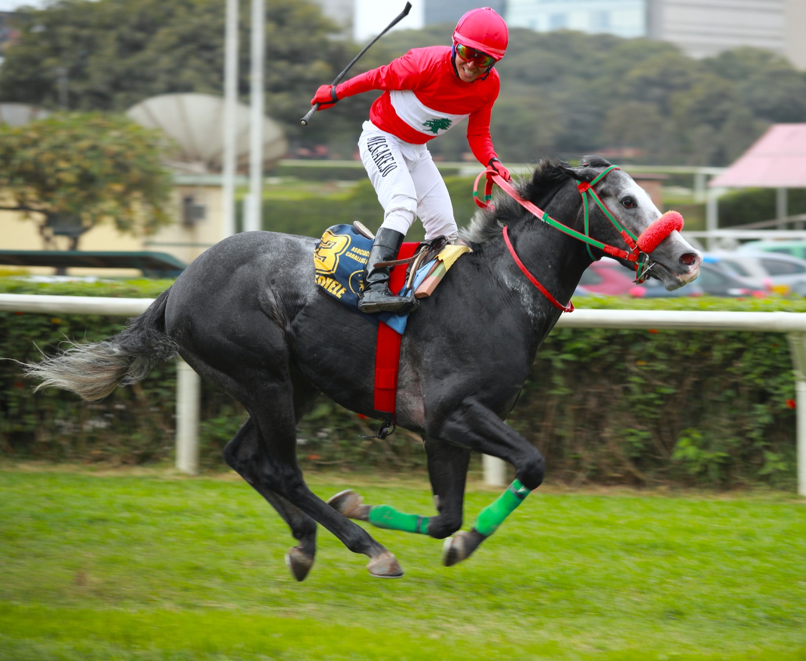 Foto: Julio Villanueva - Renzo Ramos F.D.