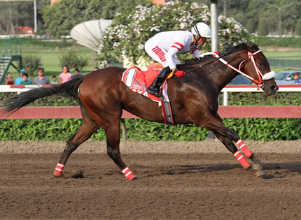  Foto: Julio Villanueva - Renzo Ramos F.D.