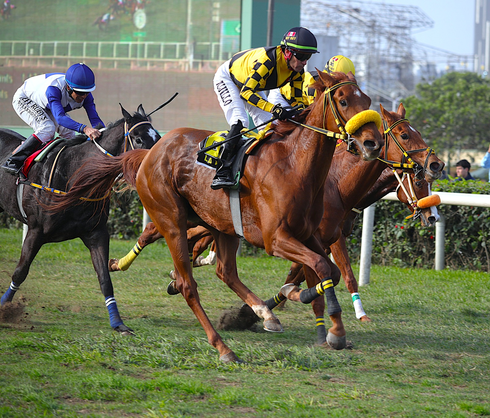 Foto: Julio Villanueva - Renzo Ramos F.D.