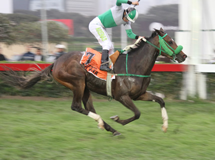 Foto: Julio Villanueva - Renzo Ramos F.D.