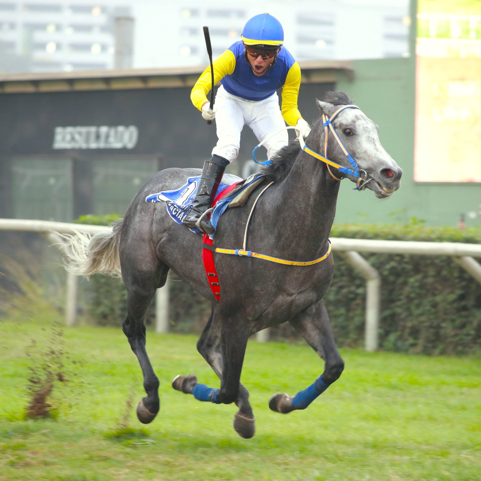 Foto: Julio Villanueva - Renzo Ramos F.D.