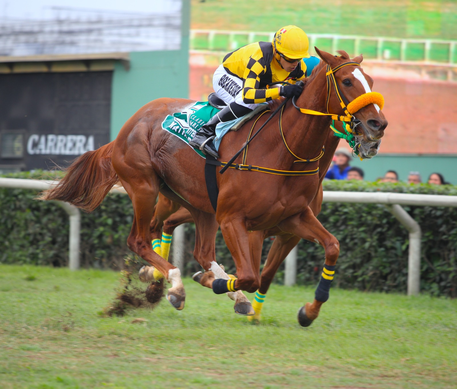 Foto: Julio Villanueva -