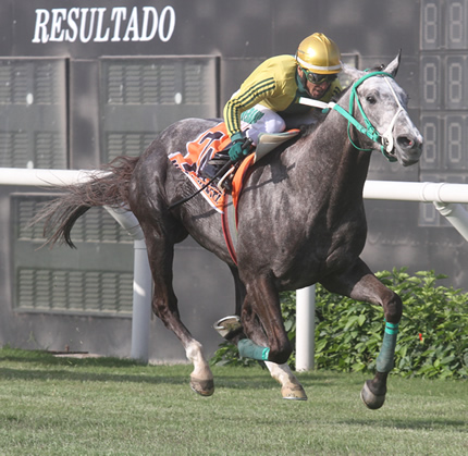 Foto: Julio Villanueva - Renzo Ramos F.D.