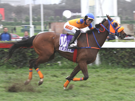 Foto: Julio Villanueva - Renzo Ramos F.D.